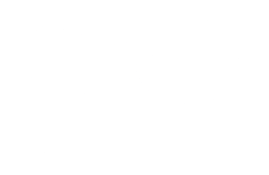 CAVE Consultores
